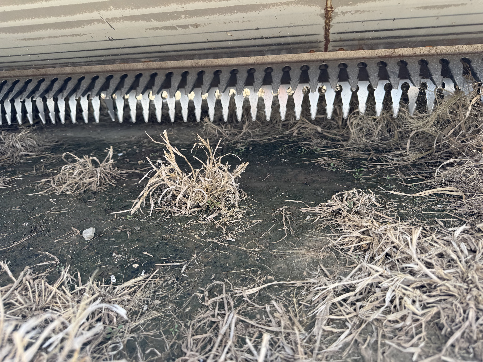 2024 Shelbourne XCS36 Platform