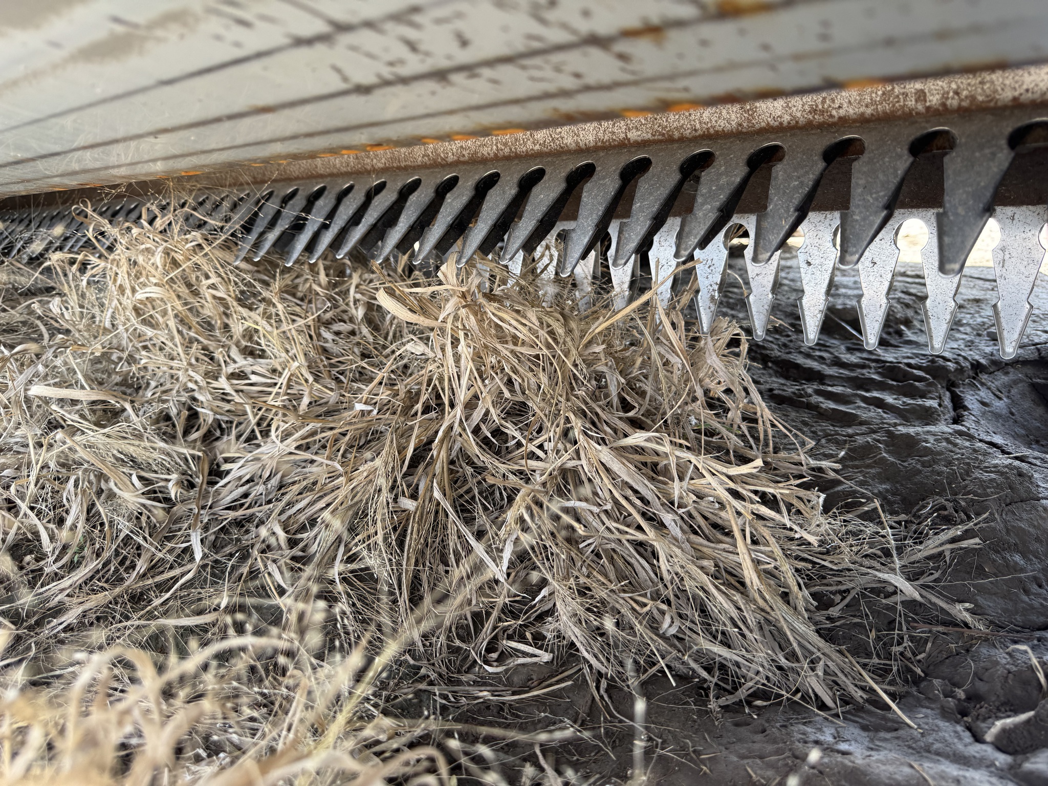 2024 Shelbourne XCS36 Platform