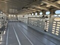 2021 Wilson PSADL-400P Livestock Trailer