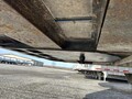 2019 Wilson PSADL-400P Livestock Trailer