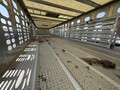 2019 Wilson PSADL-400P Livestock Trailer