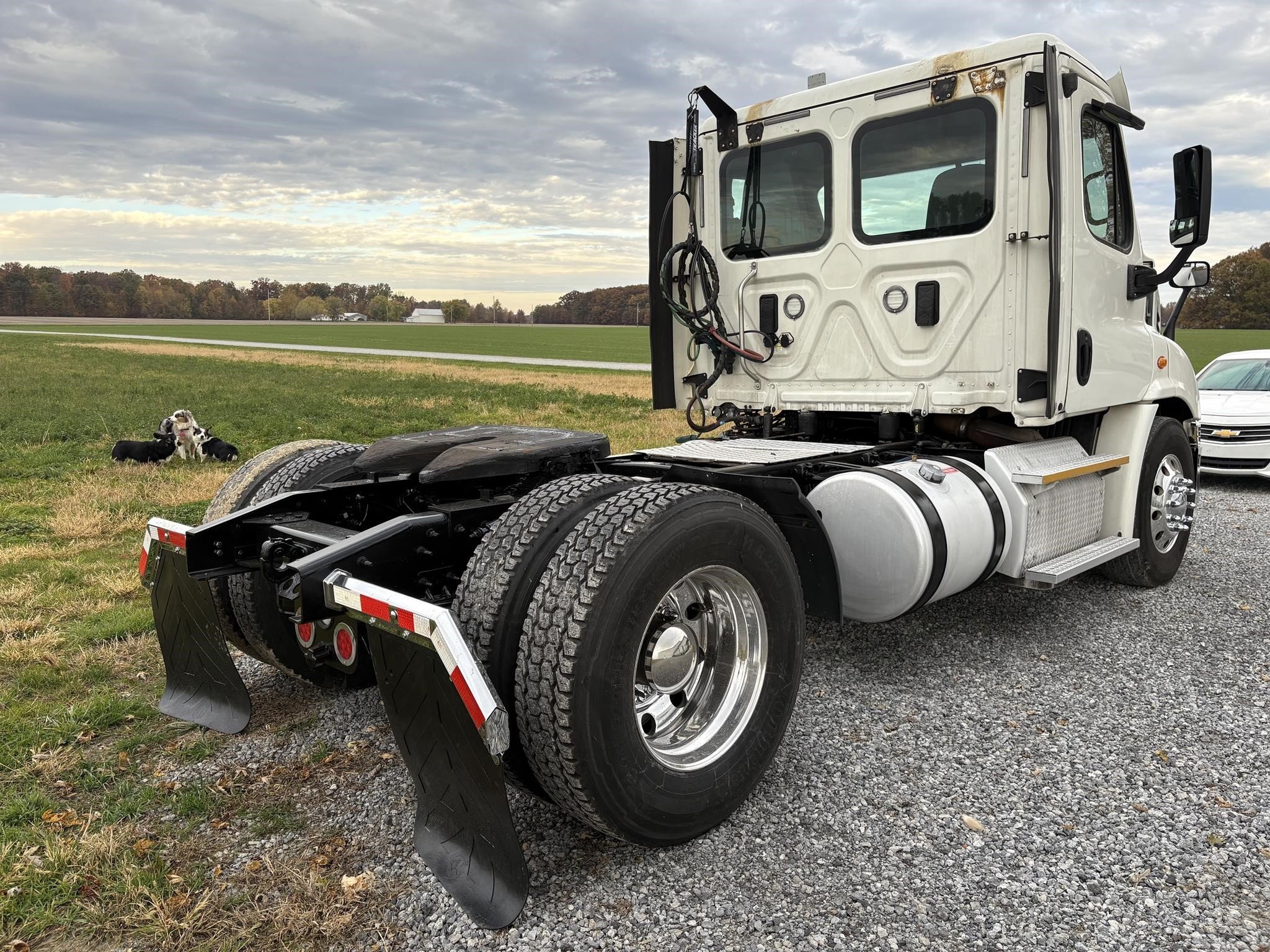 2017 Freightliner CASCADIA 113 Semi Trucks/Trailer