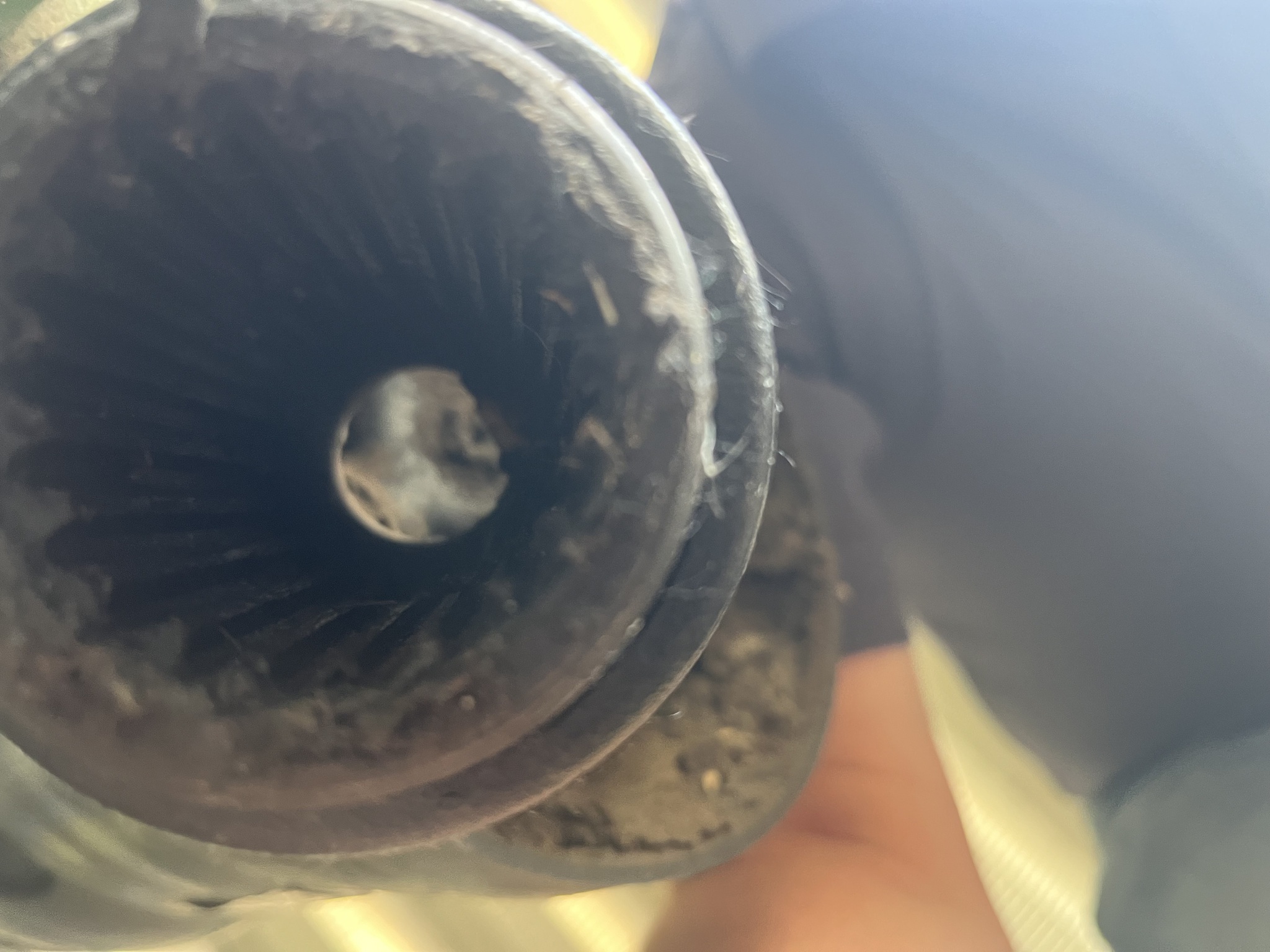 2024 John Deere 561R Round Baler