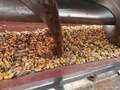 2014 Case IH 7230 Combine