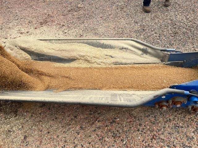 2024 Brandt 1547LP+ Augers and Conveyor