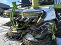 2020 Claas ORBIS 750 Forage Harvester Head