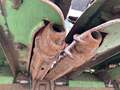  John Deere 443 Corn Head