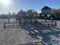 2004 Krause Dominator 4850 Disk Chisel