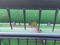  John Deere 920F Platform