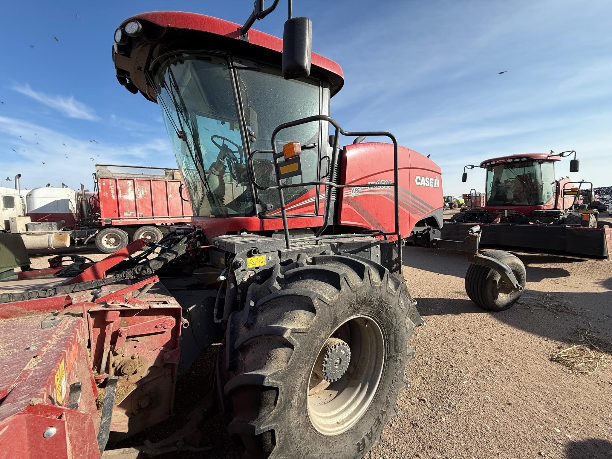 2024 Case IH WD2505 Self-Propelled Windrowers and Swather