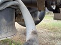 2007 Mack Granite CV713 Dump Trucks/Trailer