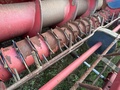 2020 Colombo TWIN MASTER FLEX BASKET Peanut Equipment