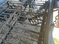 2023 Amadas ADI-638 Peanut Equipment