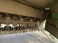 2022 John Deere C450 Mower Conditioner