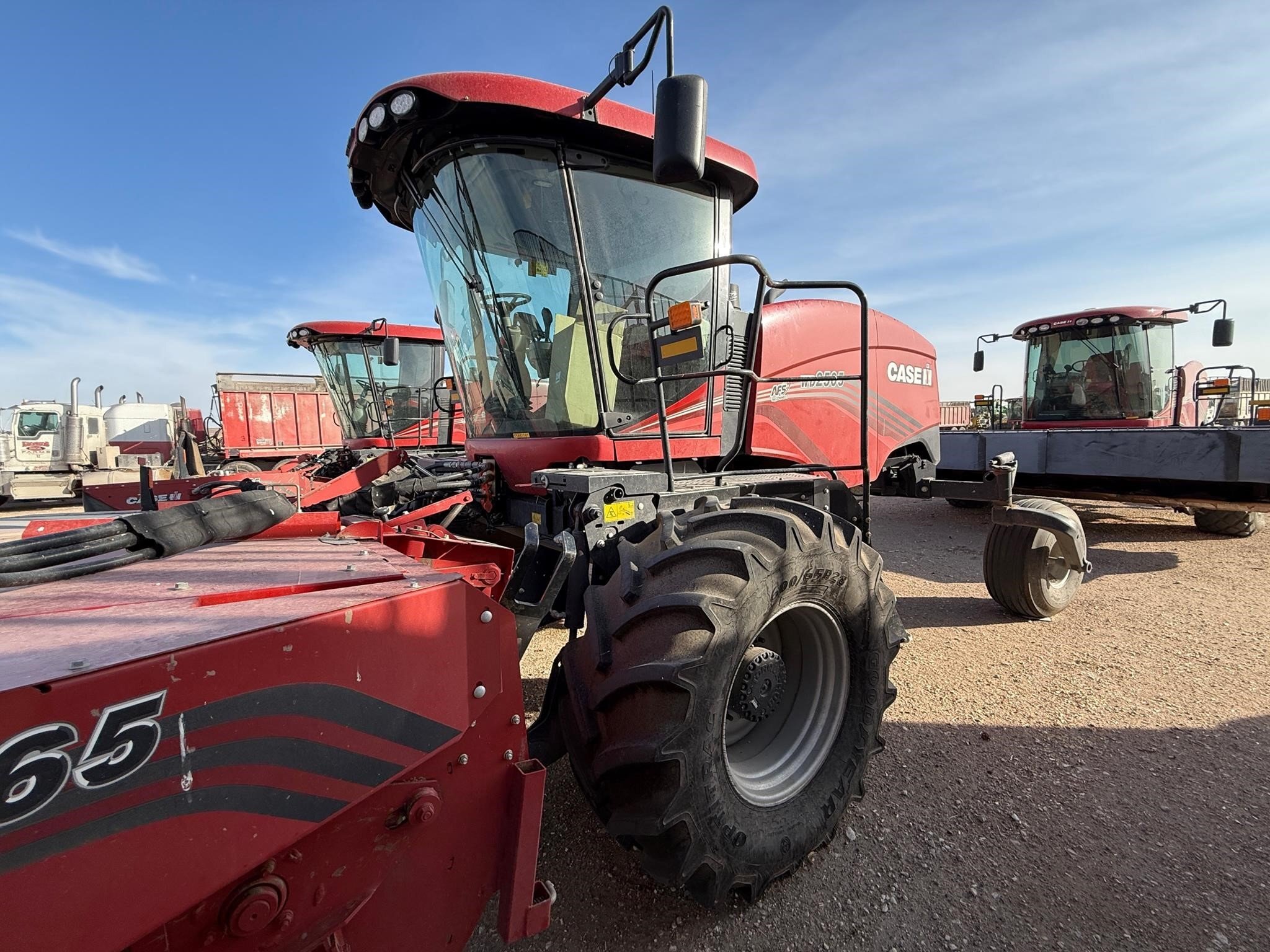 2024 Case IH WD2505 Self-Propelled Windrowers and Swather