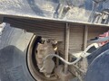 2004 Ford F-650 Pickup