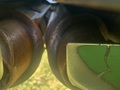 2019 John Deere 712C Corn Head