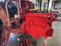 1981 International 786 Tractor