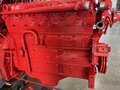 1981 International 786 Tractor