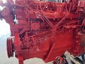 1981 International 786 Tractor
