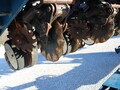2012 Kinze 3660 Planter
