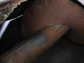  J&M 875-18 Grain Cart