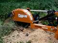  Woods TSG50 Forestry and Mining