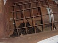  NECO 51A Grain Cleaner