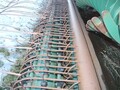 2010 Pickett Twin Master Vegetable Equipment