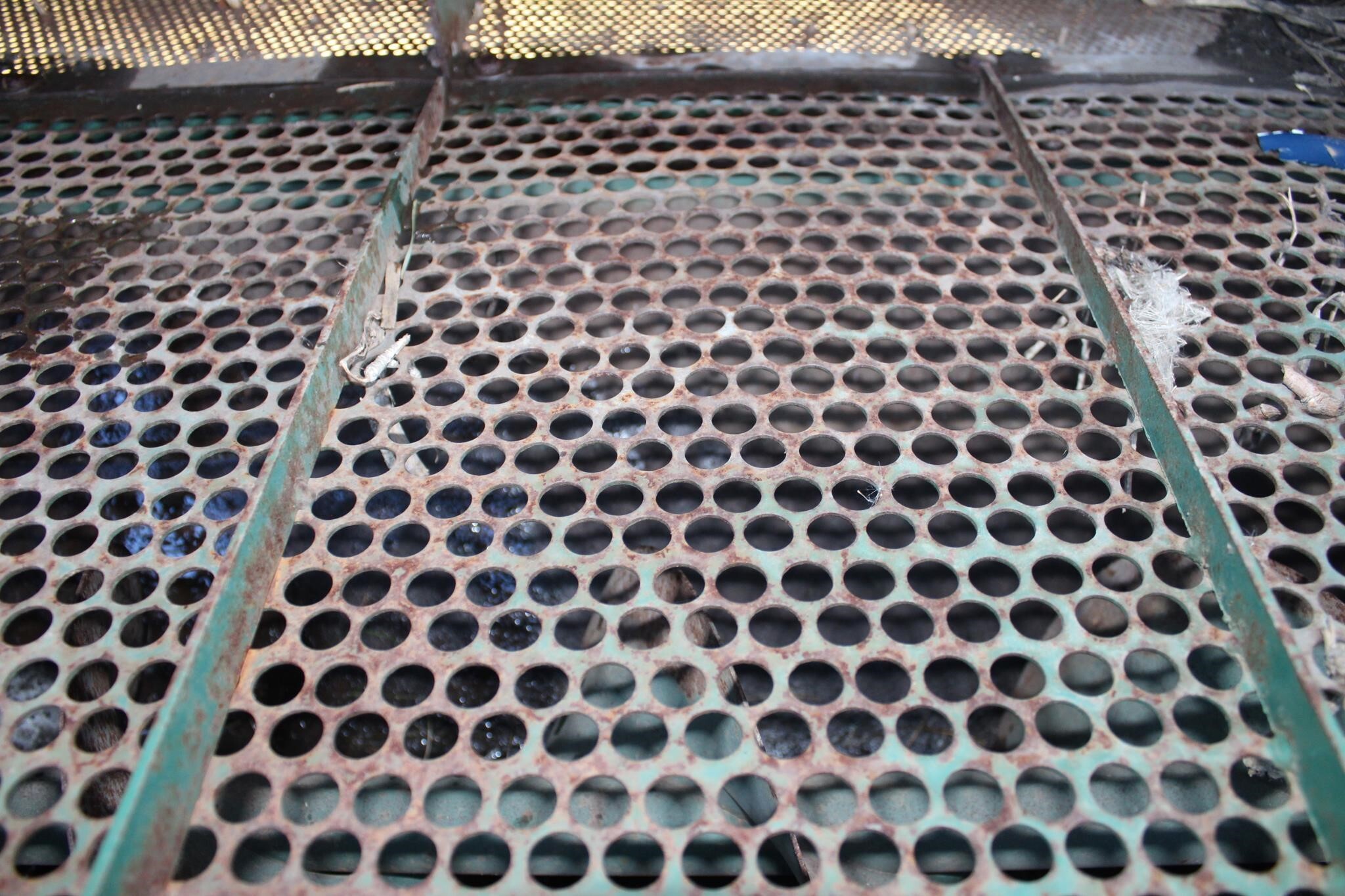 2010 Pickett Twin Master Vegetable Equipment