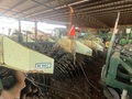 2018 Kelley Manufacturing 638 Peanut Equipment