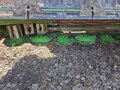 2023 John Deere W235R Self-Propelled Windrowers and Swather
