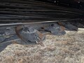 2026 MacDon R113 Mower Conditioner