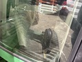 2015 John Deere R280 Disk Mower