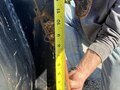 2019 Caterpillar 906M Miscellaneous