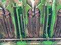 2024 John Deere C18R Corn Head