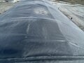 2022 Wilson DWH-650B Grain Trailer