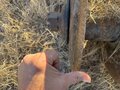 2016 Landoll 7431 VT Plus Vertical Tillage