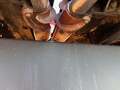 2021 Case IH 4412 Corn Head