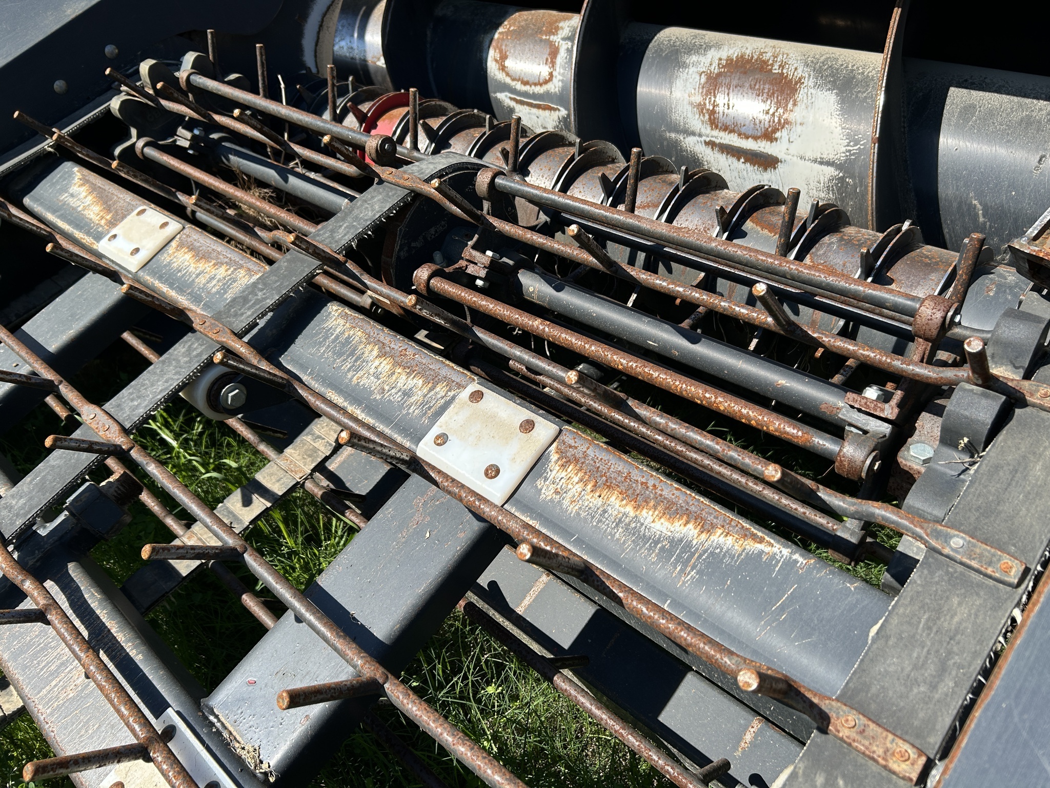 2023 Colombo Twin Master Peanut Equipment