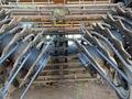 2024 Colombo C600CA - 6R36" FLEX CHAIN DSI Peanut Equipment