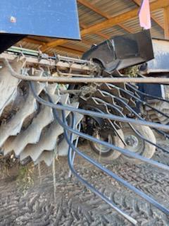 2024 Colombo C600CA - 6R36" FLEX CHAIN DSI Peanut Equipment