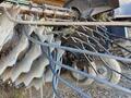 2024 Colombo C600CA - 6R36" FLEX CHAIN DSI Peanut Equipment