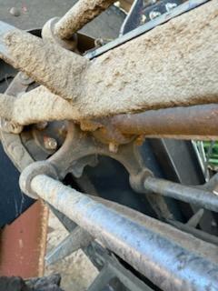 2024 Colombo C600CA - 6R36" FLEX CHAIN DSI Peanut Equipment