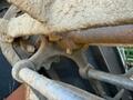 2024 Colombo C600CA - 6R36" FLEX CHAIN DSI Peanut Equipment