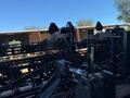 2024 Colombo C600CA - 6R36" FLEX CHAIN DSI Peanut Equipment