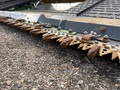 2024 John Deere HD40F Platform