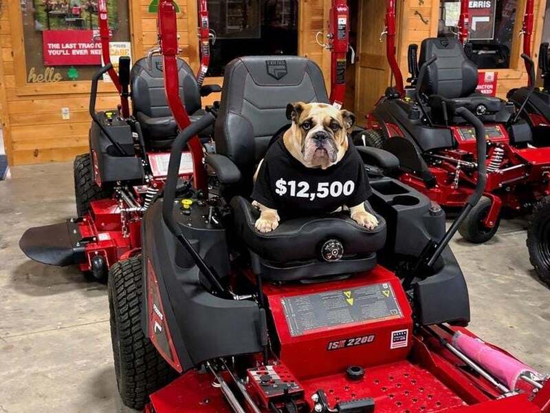 Used Ferris Lawn Mowers for Sale - 313 Listings | Machinery Pete