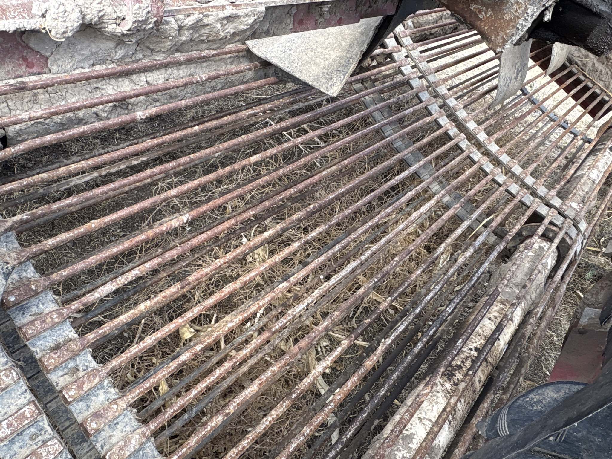 2010 Amity 2500 Beet Equipment