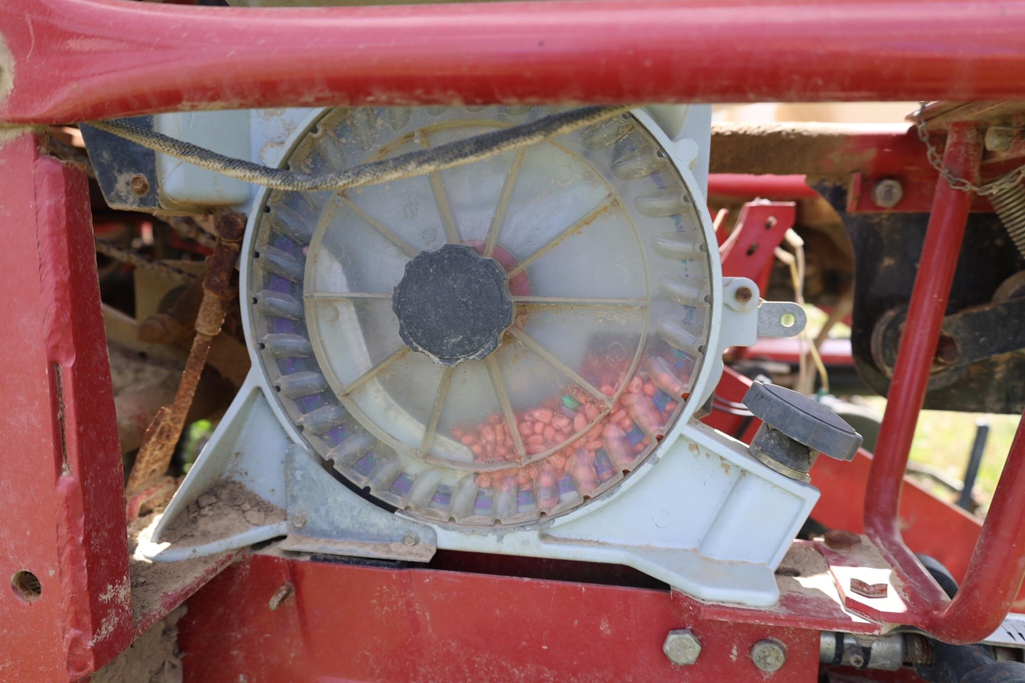  White 8180 Planter